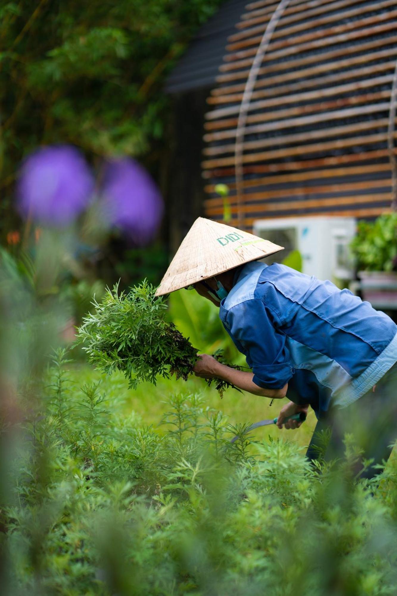 Chay Lap Farmstay Phong Nha Da Lon Екстериор снимка